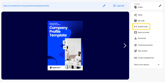 Embed code on the Details page-mh