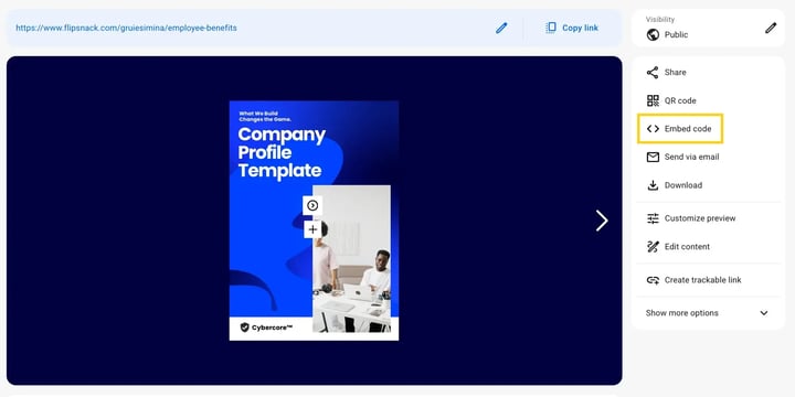 Embed code on the Overview page-mh
