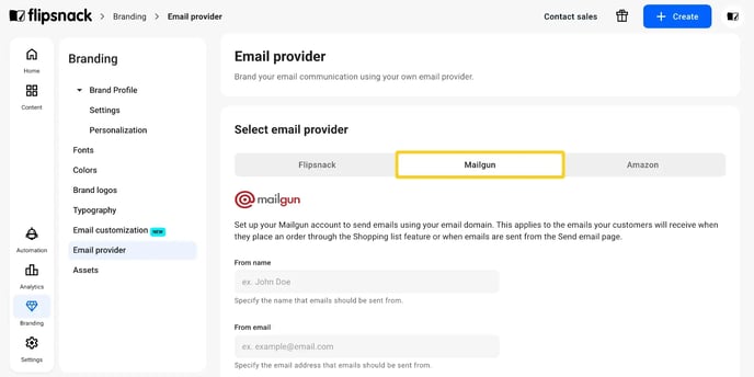 The Email provider page under Branding, with the Mailgun icon selected.