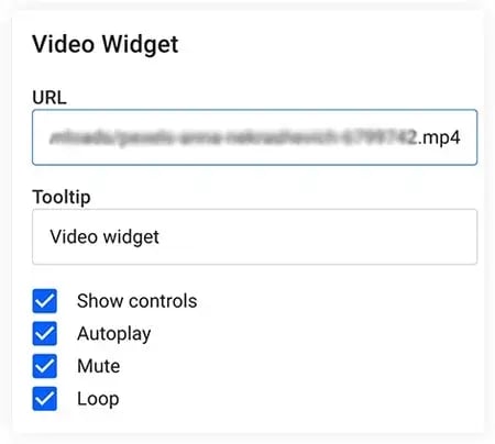 Video widget