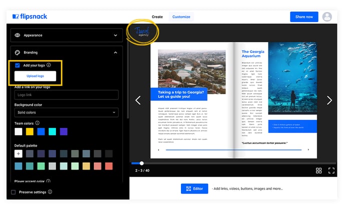 add-your-logo-in-the-flipbook-player