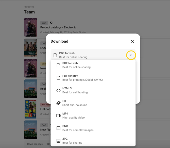 all download options in flipsnack-mh