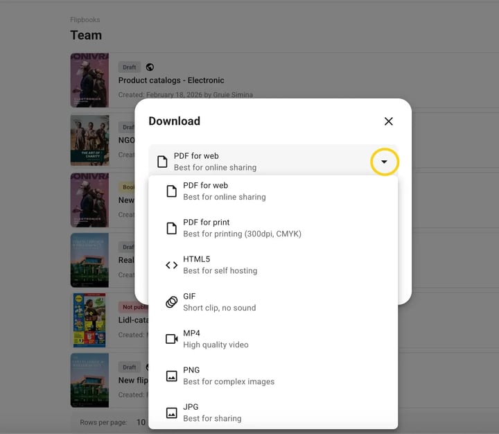 all download options in flipsnack-mh