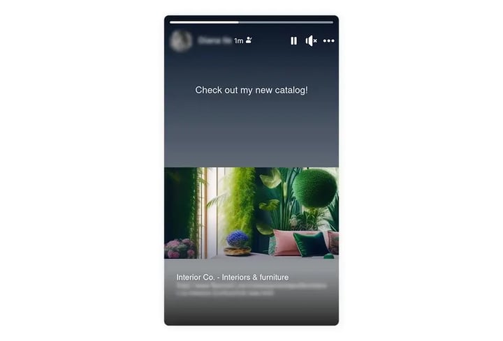 Facebook story preview for when sharing your catalog on social media as a story