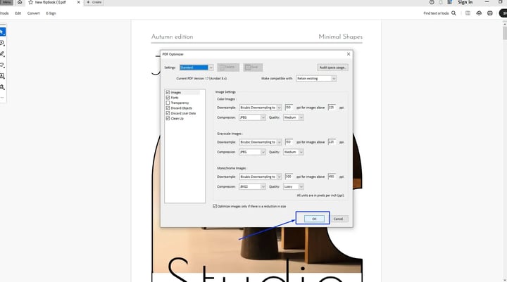 optimized pdf ss fs 2
