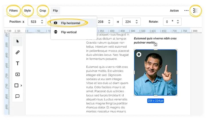 The image toolbar with Filters, Style, Crop and Flip, and the Flip menu open on Flip horizontal