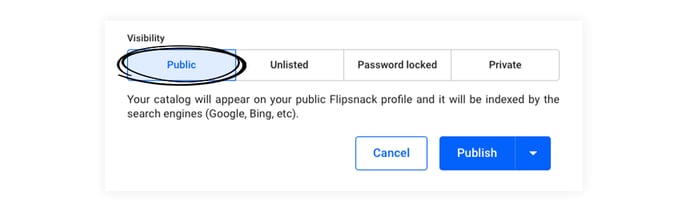 public-visibility-option-in-Flipsnack-1