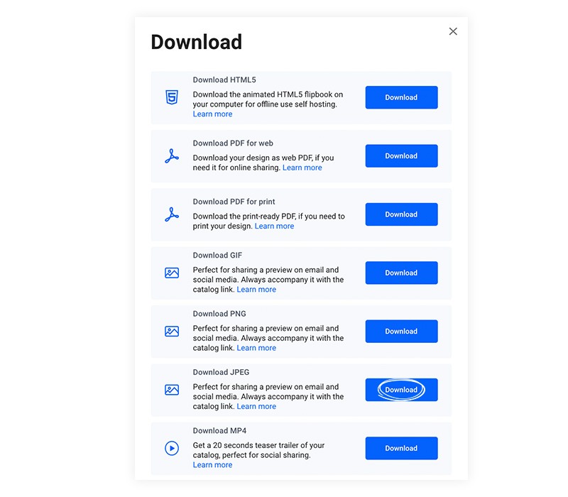 Download options in Flipsnack