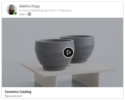 Linkedin preview of a shared catalog