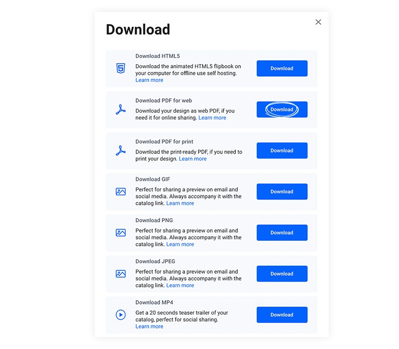 Download options in Flipsnack