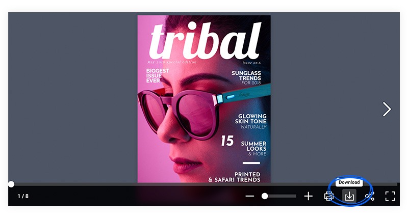 Download flipbook in fullscreen mode